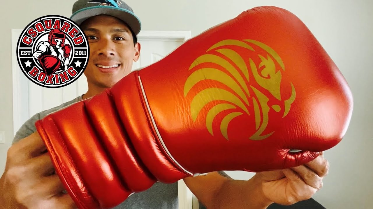 Valour Strike Golden Eagle Boxing Gloves REVIEW- UNDERRATED GLOVES WITH EXTRA FEATURES!