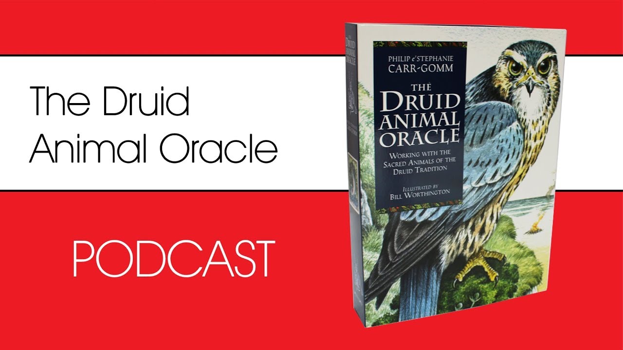 Druid Animal Oracle Author Philip Carr-Gomm, interviewed by Steve Nobel | PODCAST for Eddison Books