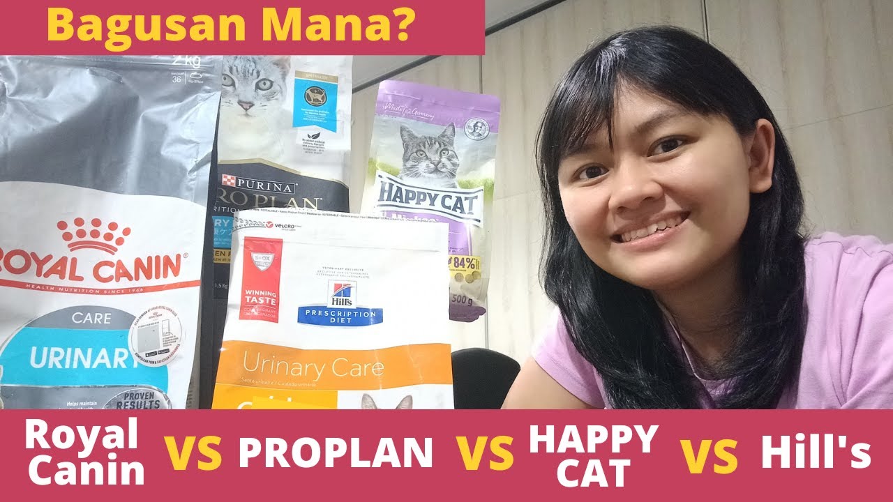 Makanan Untuk Kucing Susah Kencing FUS FLUTD Royal Canin Proplan Happy Cat Hill's Urinary Care