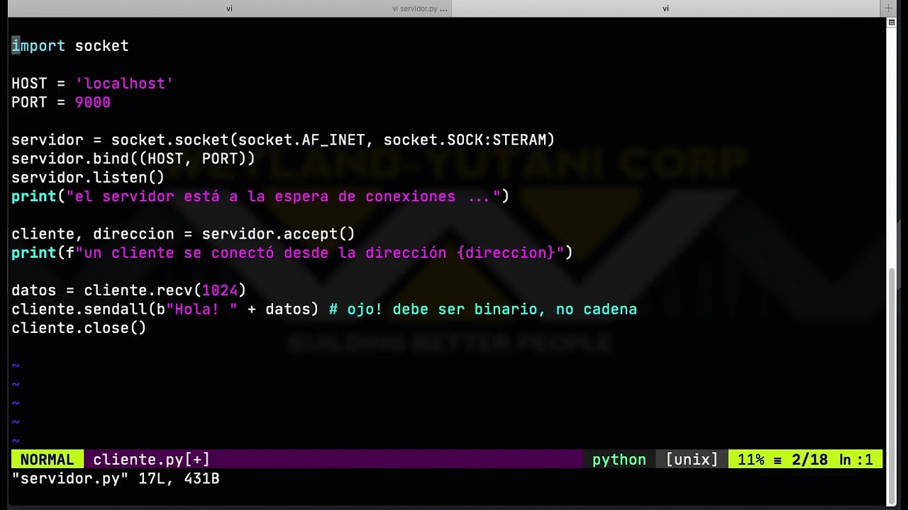 Programando Cliente/Servidor con Python