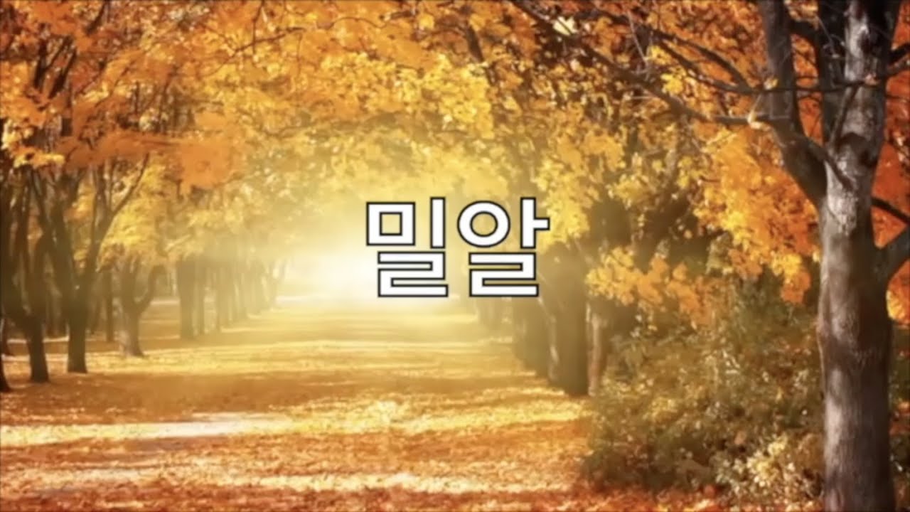 밀알 - 천관웅 (1시간)