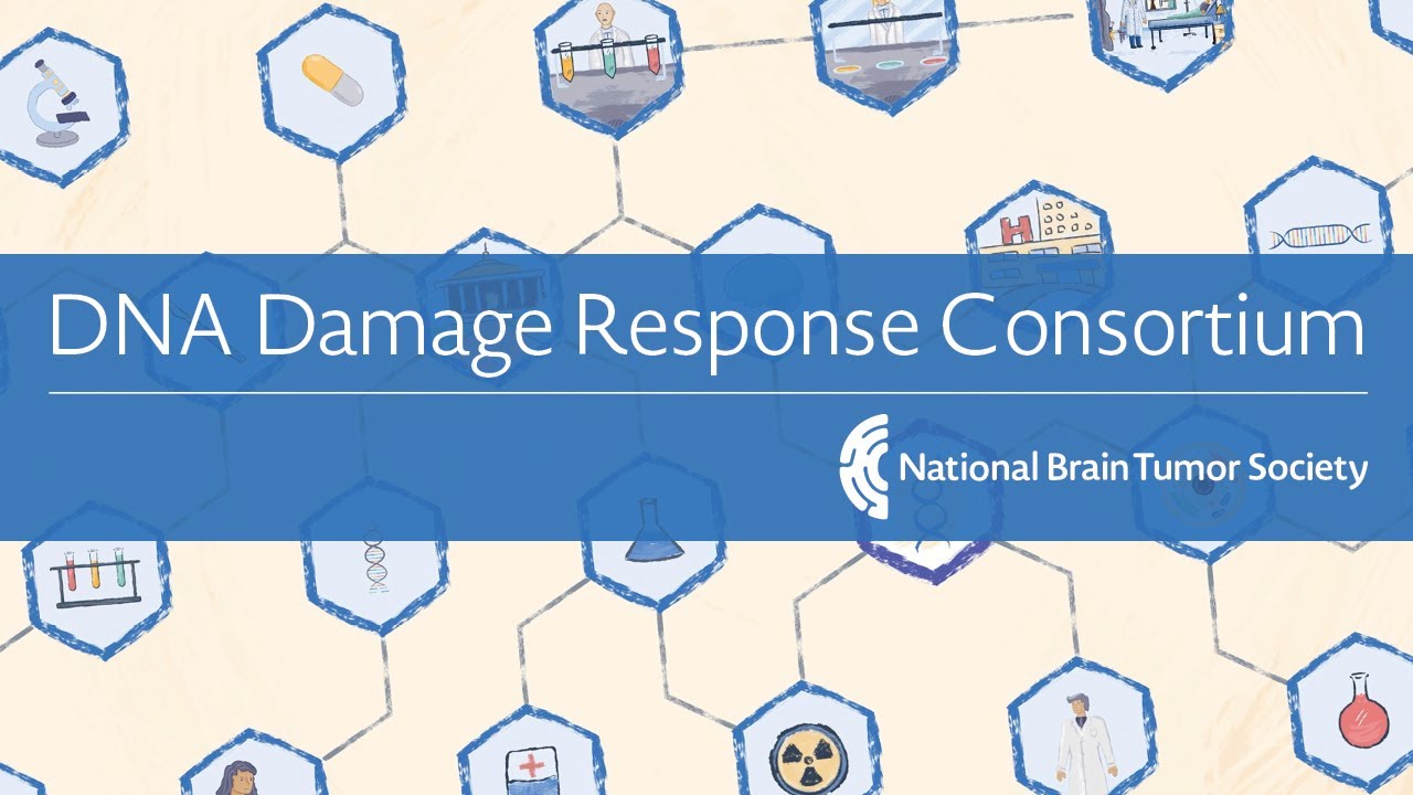 Understanding the Science: DNA Damage Response and Brain Cancer Treatment Breakthroughs