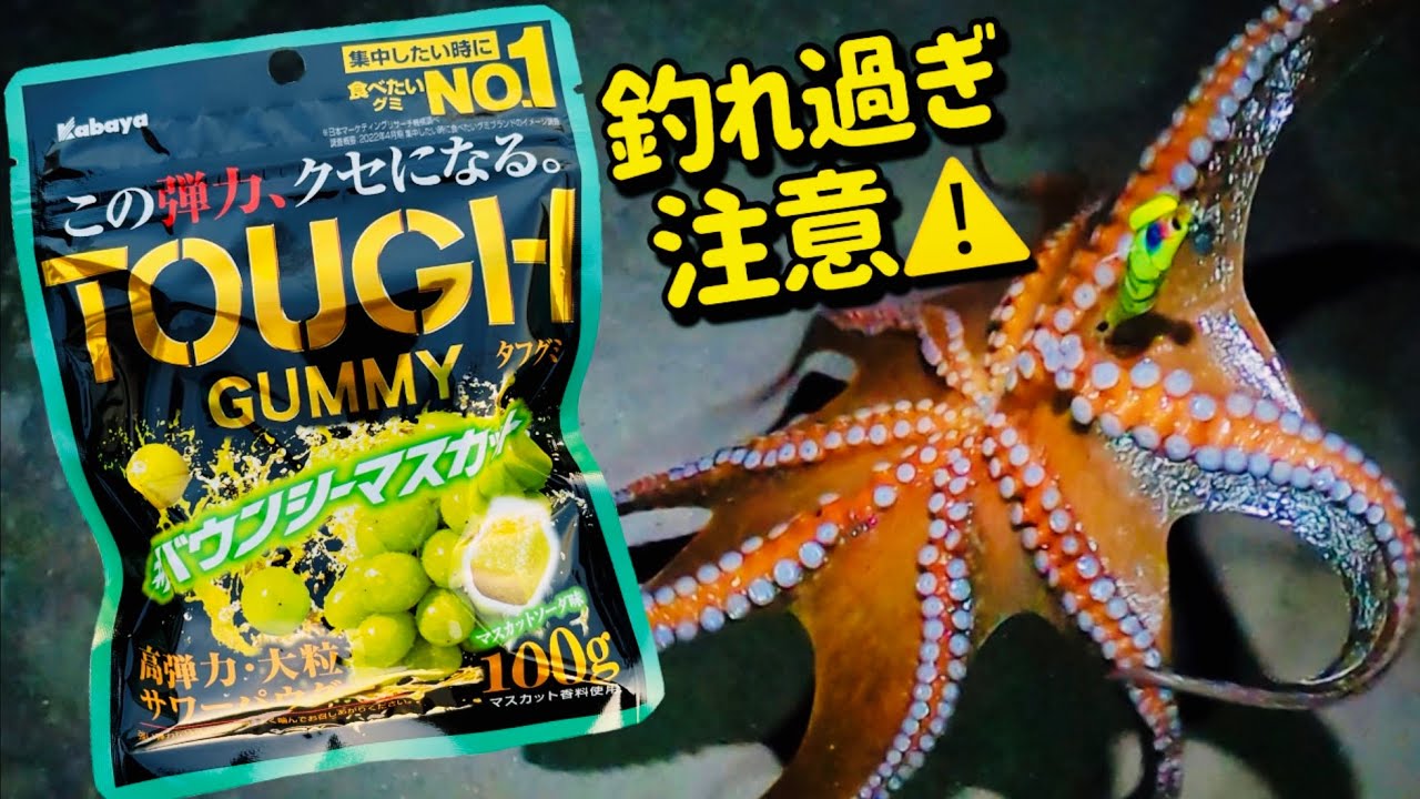 【タコ釣り】キロ連発！オヤツを装着したタコエギが凄すぎた【オクトパッシング】