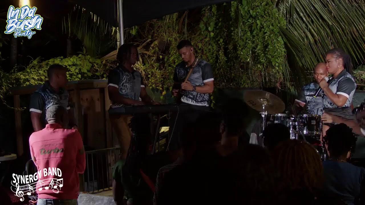 Synergy Band Live Stream