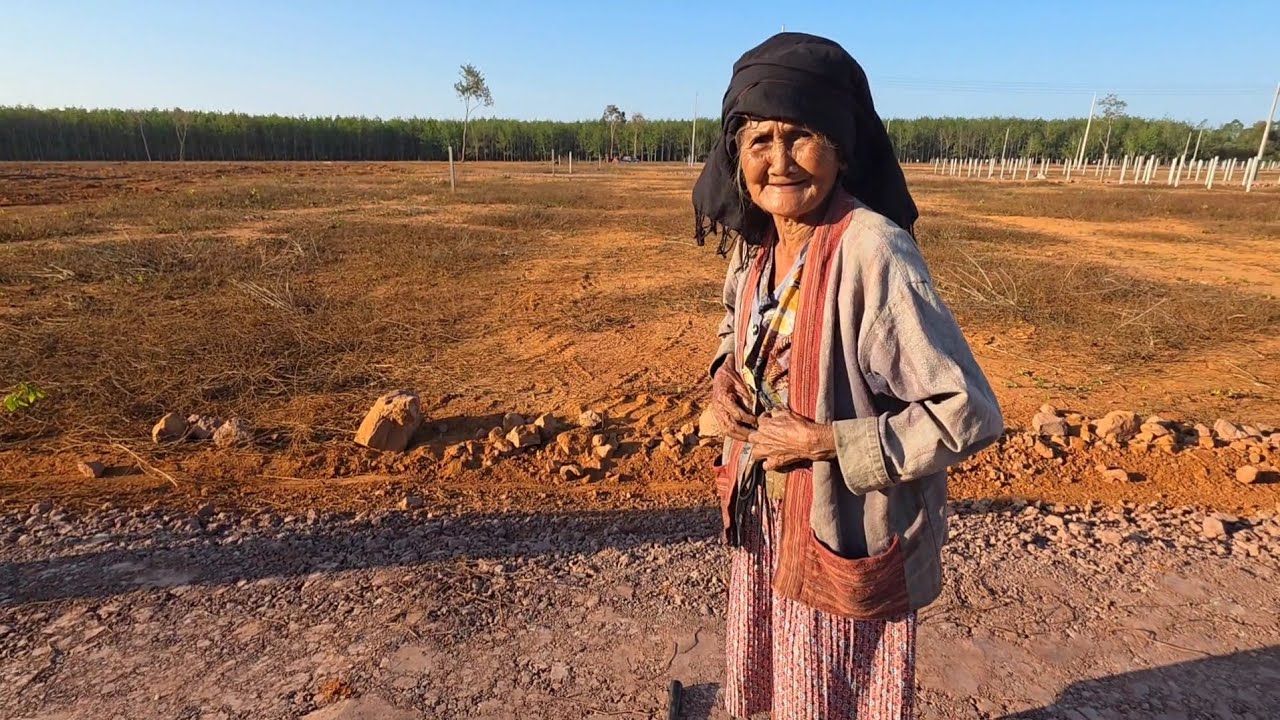 เเม่ตู้คำแผลช้ำในเพราะว่ายังเจ็บอยู่ ไม่มีเงินไปหาหมอจะยืมวันทองก็ไม่กล้า 12 กุมภาพันธ์ ค.ศ. 2026