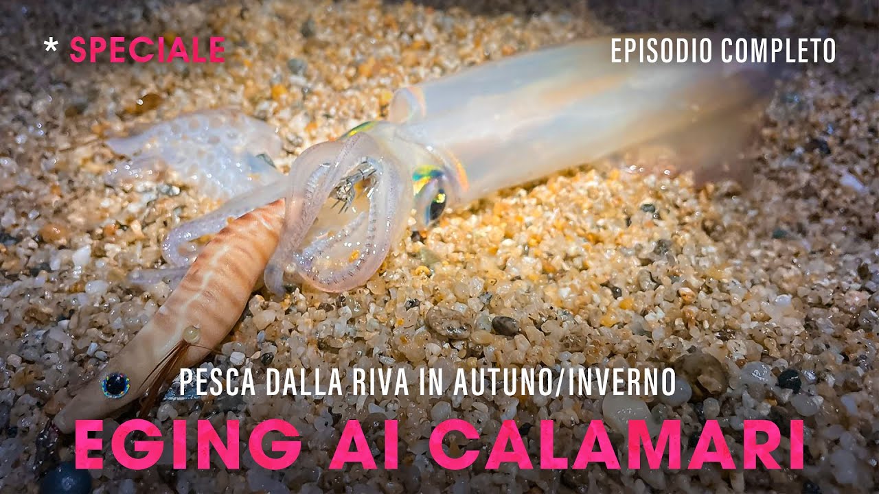 EGING (in notturna) al CALAMARO 🦑 COSÍ è possibile pescare da RIVA » SPECIALE @trabuccofishing