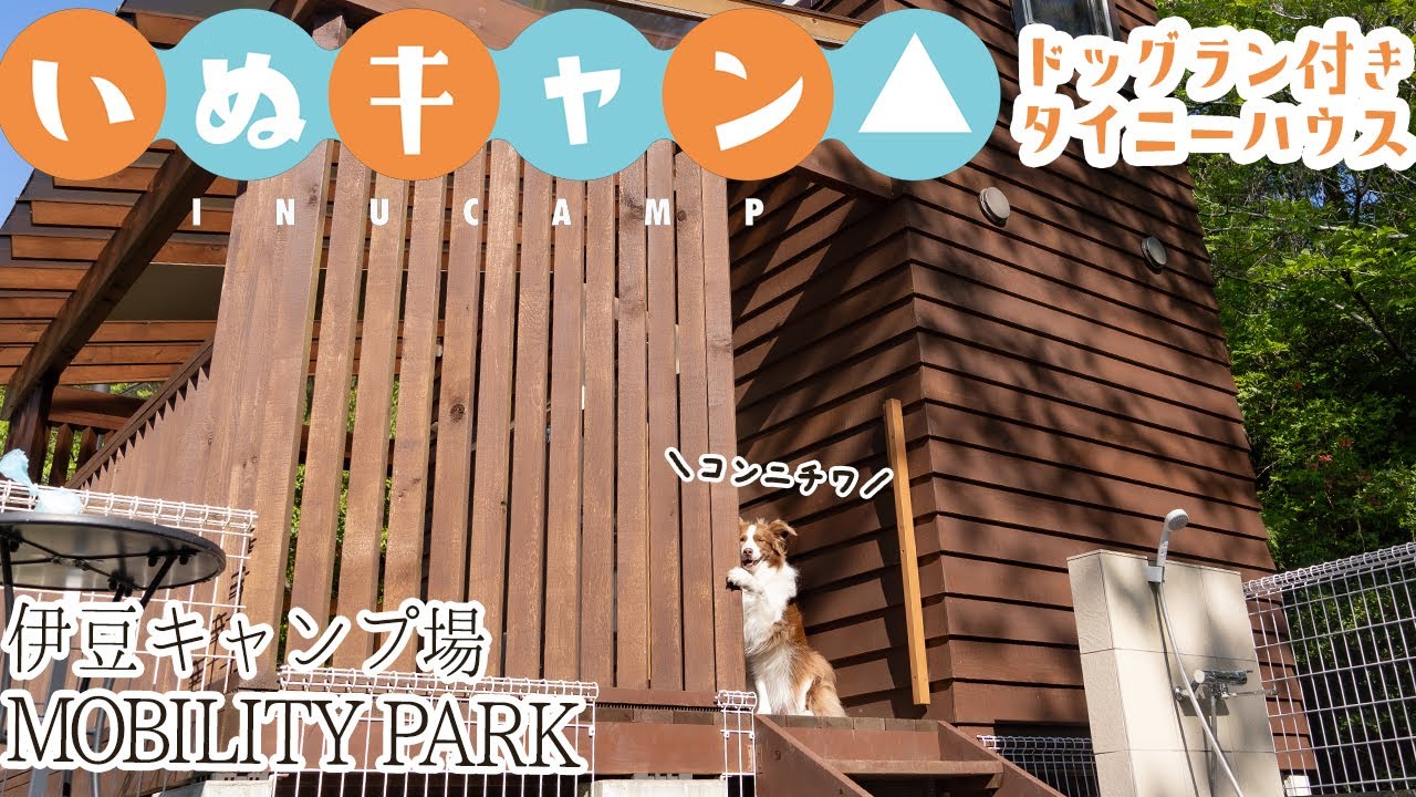 【いぬキャン△】ボーダーコリーとプライベートドッグラン付きのタイニ―ハウスでキャンプ 施設紹介【伊豆キャンプ場 モビリティーパーク】