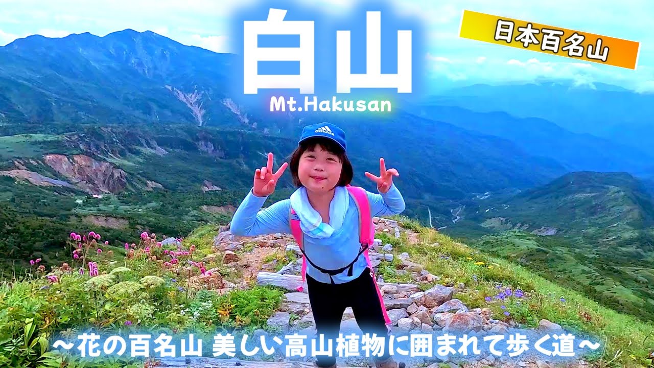 日本三大霊山 白山 ６歳娘が高山植物を撮影しながら最高峰を御前峰を目指す