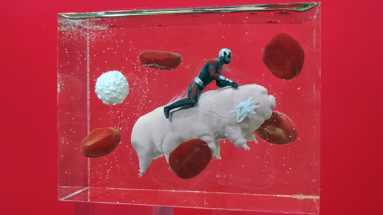 앤트맨과 곰벌레의 혈관 여행 디오라마 (Ant-Man & Water Bear's Blood Vessel Journey Diorama)