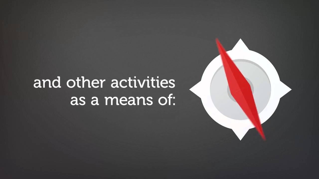 What does the World Youth Organization do?