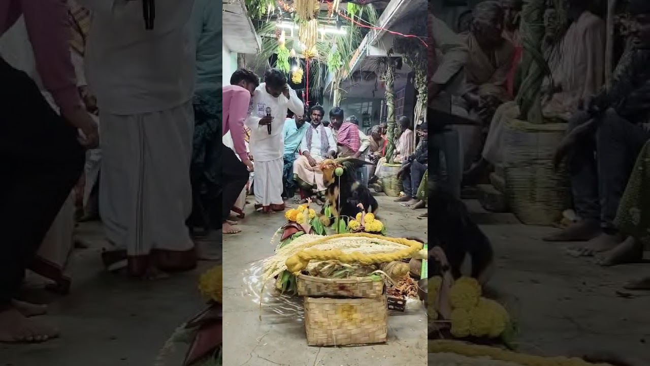 సీతంవలస ముద్దాడ సూర్యనారాయణ గొల్ల చదువు