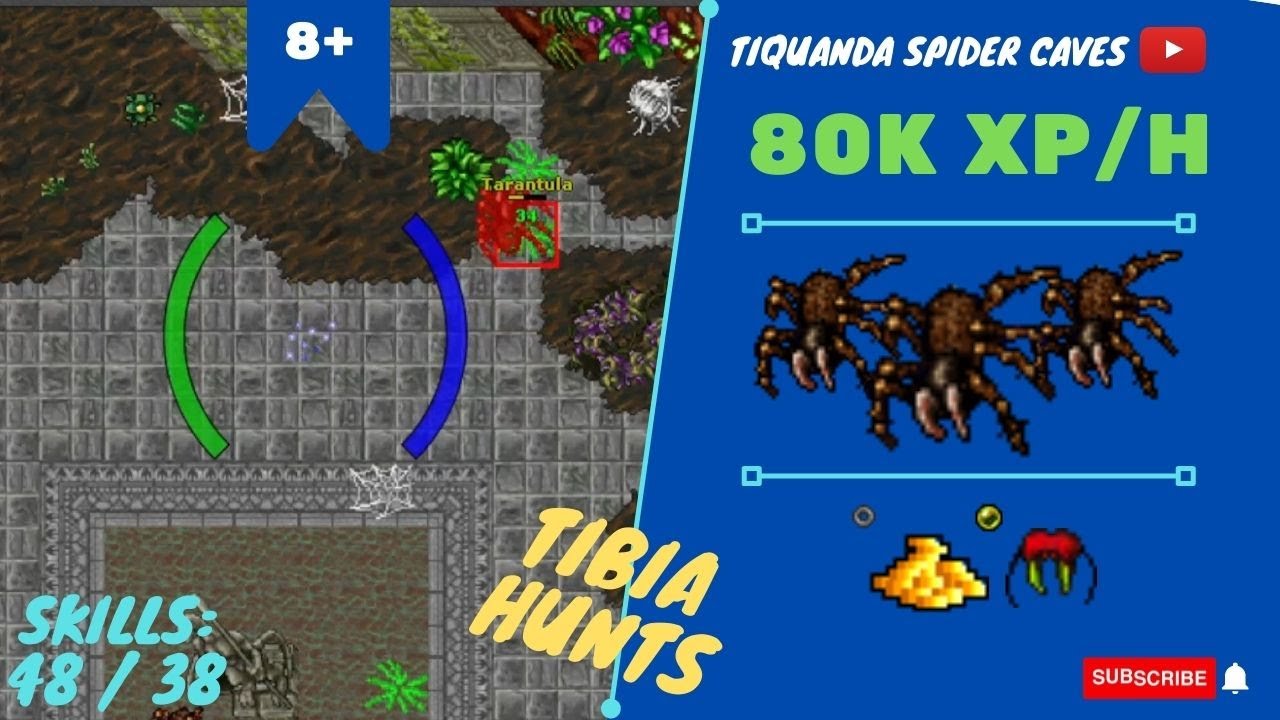 RP SOLO LVL 8+ 80K XP/H - SKILLS 48/38 - Tiquanda Spider Caves - TIBIA HUNT