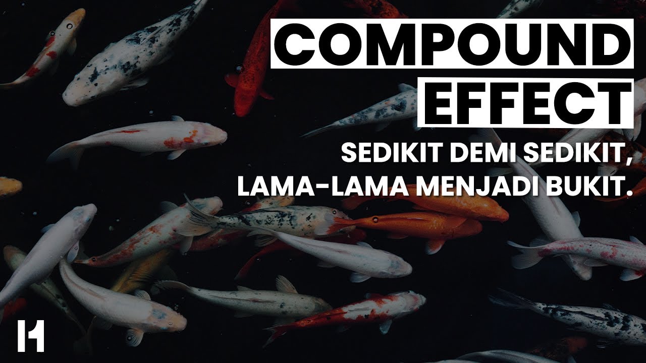 Compound Effect: Sedikit Demi Sedikit, Lama-Lama Menjadi Bukit.