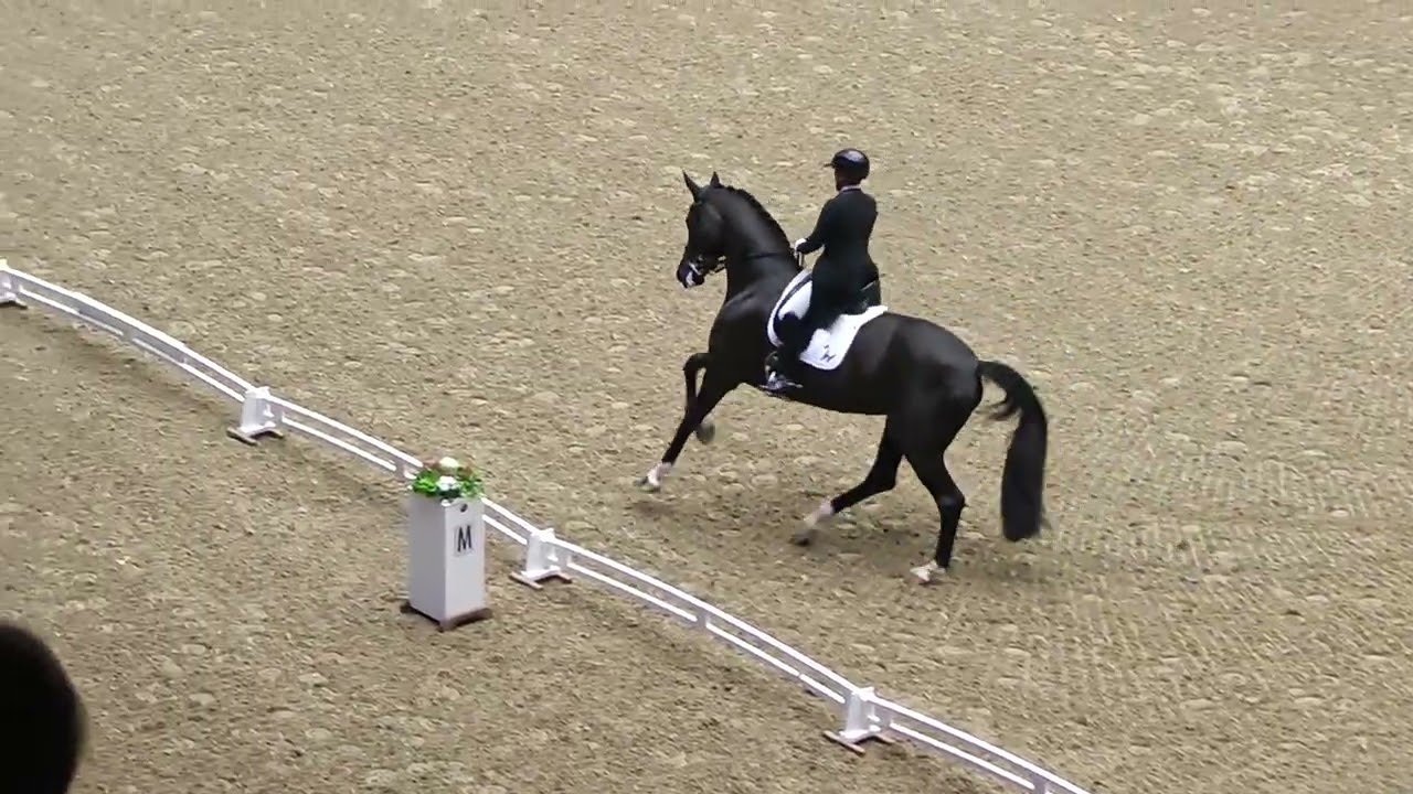 Isabelle Werth & Wendy de Fontaine - GP kür, 90,080 % (Herning, March 2026)