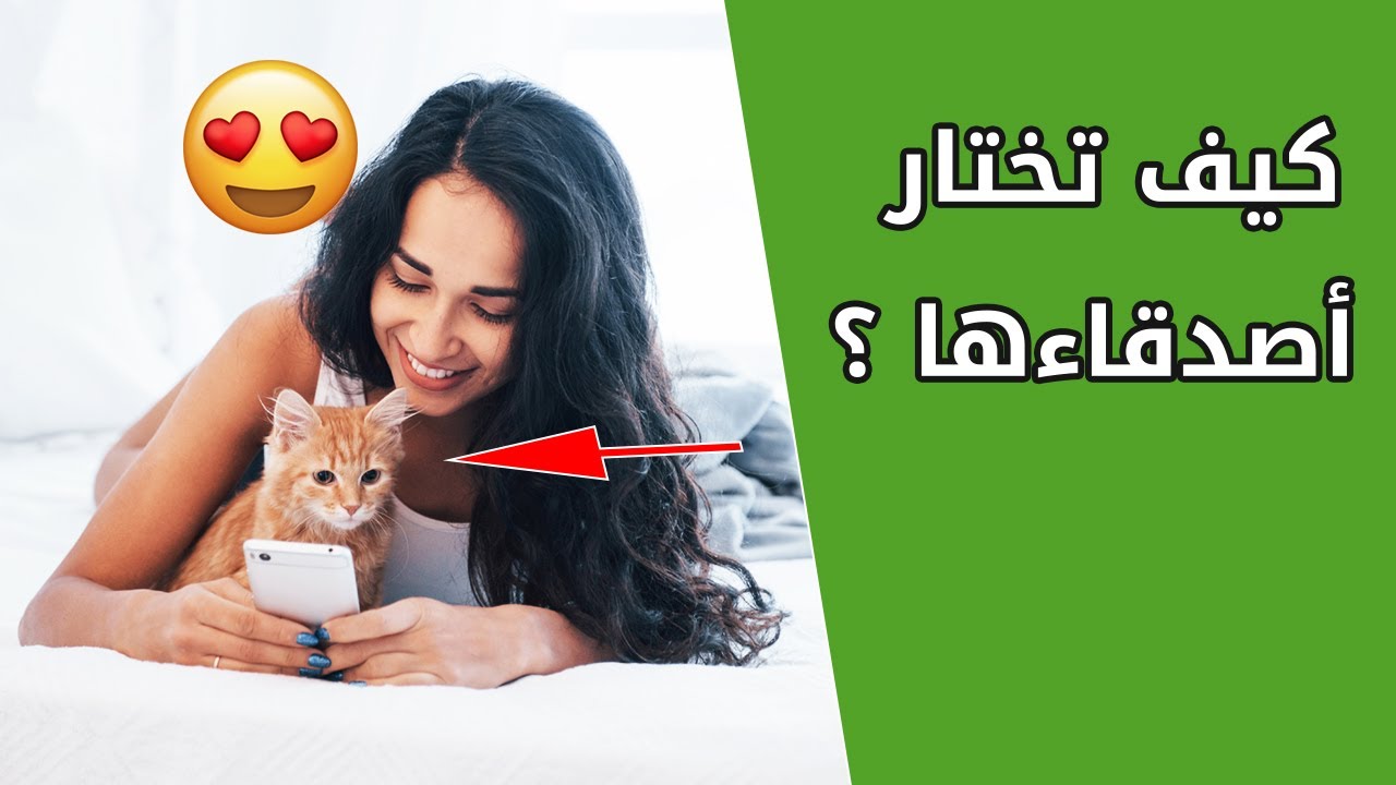 إكتشف كيف تختار القطط أصدقاءها من البشر