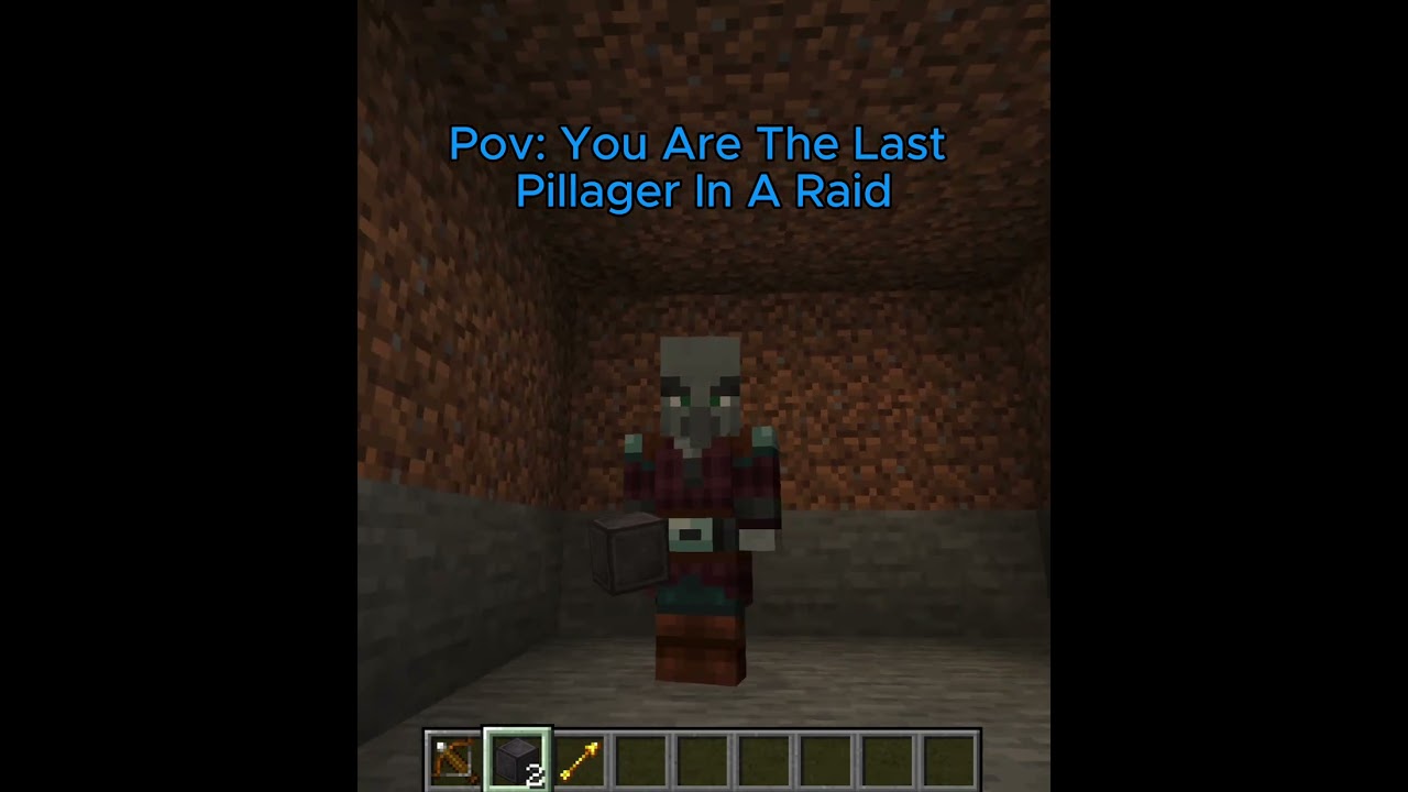 Pov: You Are The Last Pillager In A Raid 