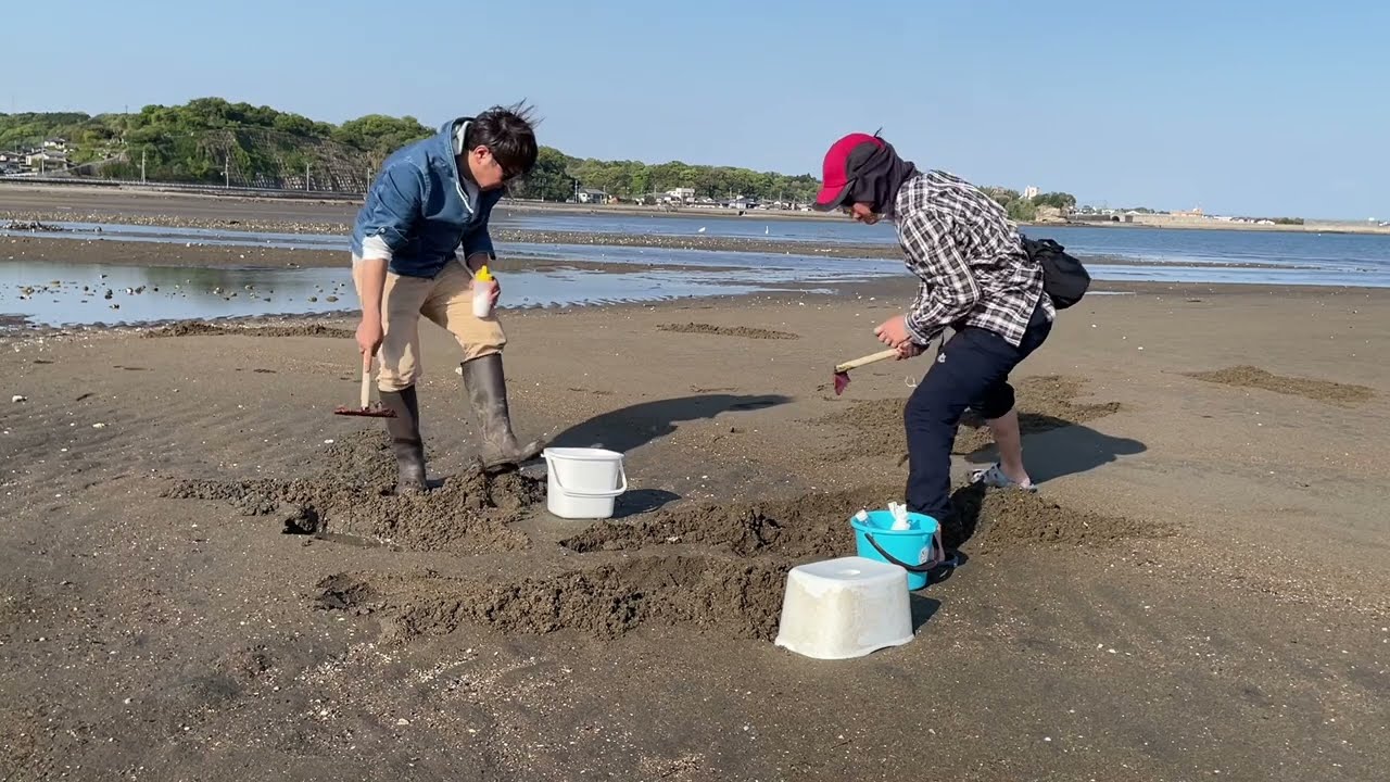 2024年4月　　エコ・パーク論所原　龍石海岸　潮干狩り　キャンプ　マテ貝とって食う　長崎