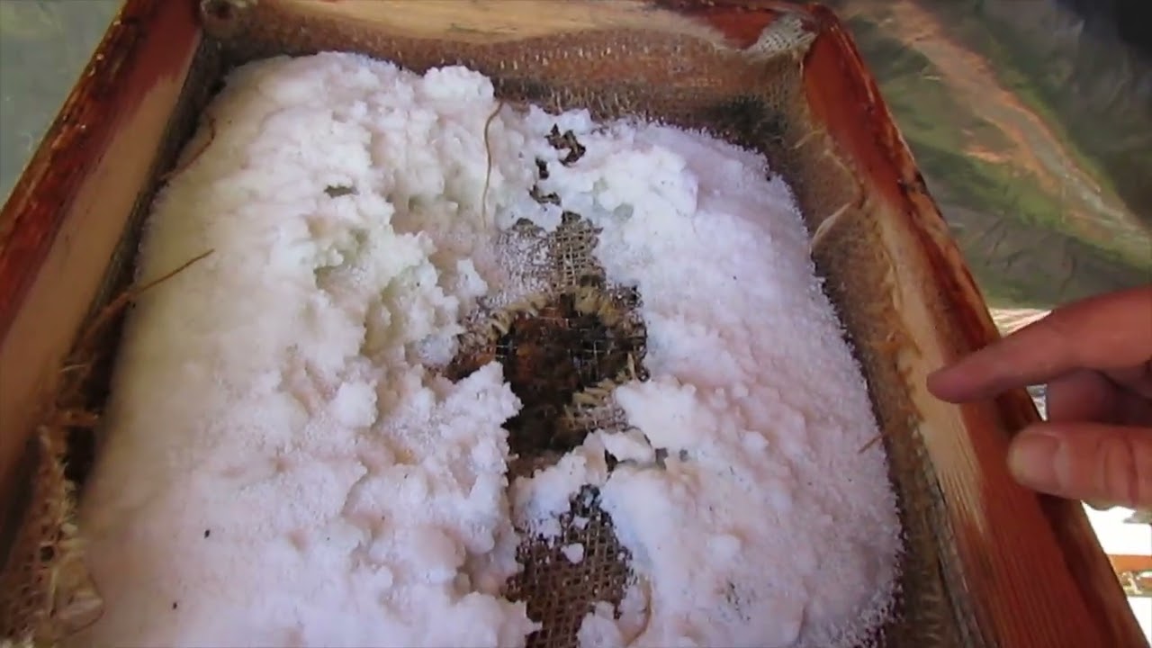 1st Hive Check Since Fall.  2-12-26