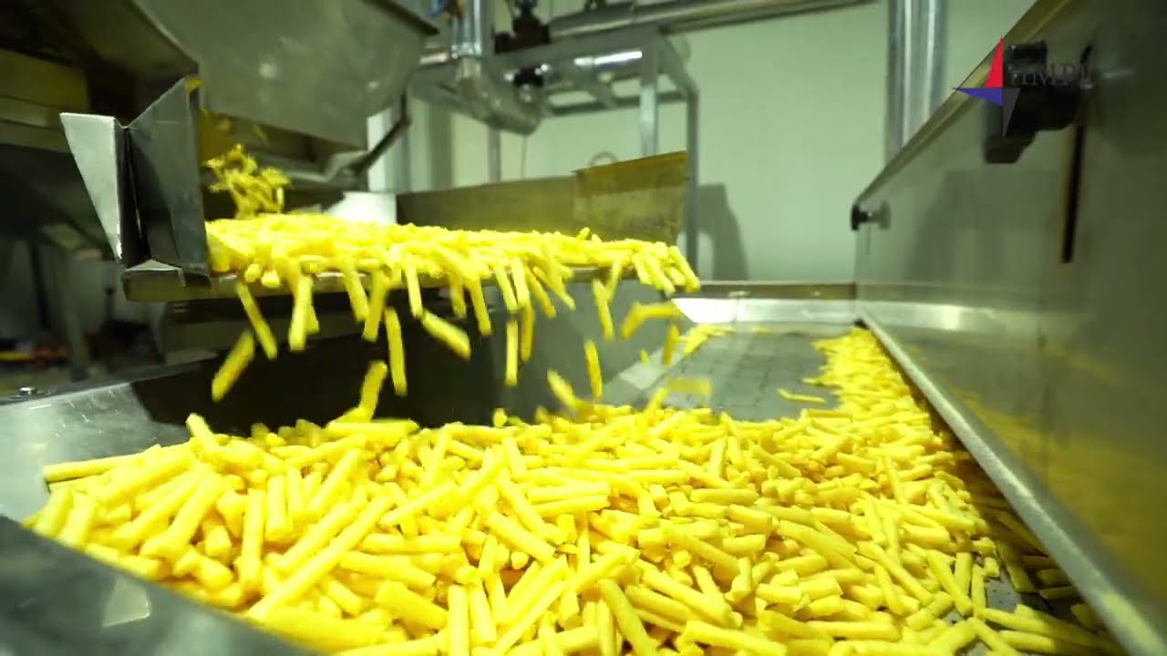 Automatic Twin Screw Puff snacks extruder plant | HMPL www.hgmachines.com