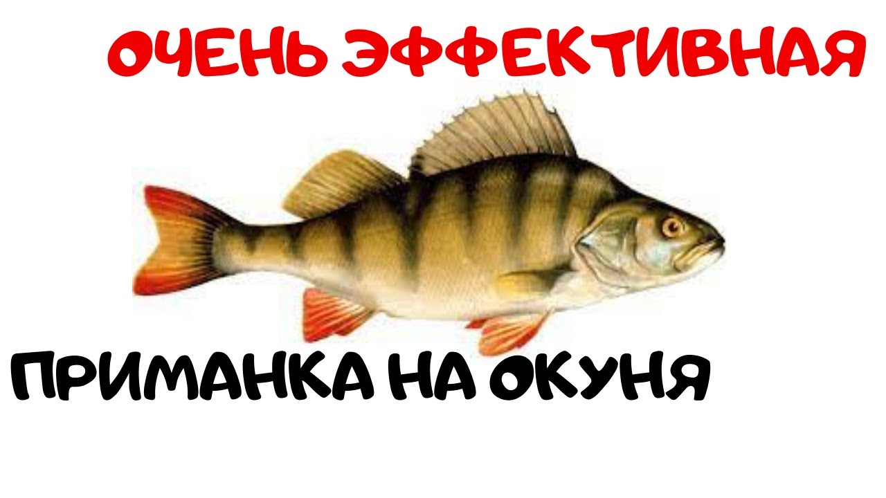 ХОРОШИЙ СТРИМЕР И  ВСЕГДА БУДЕШЬ С РЫБОЙ