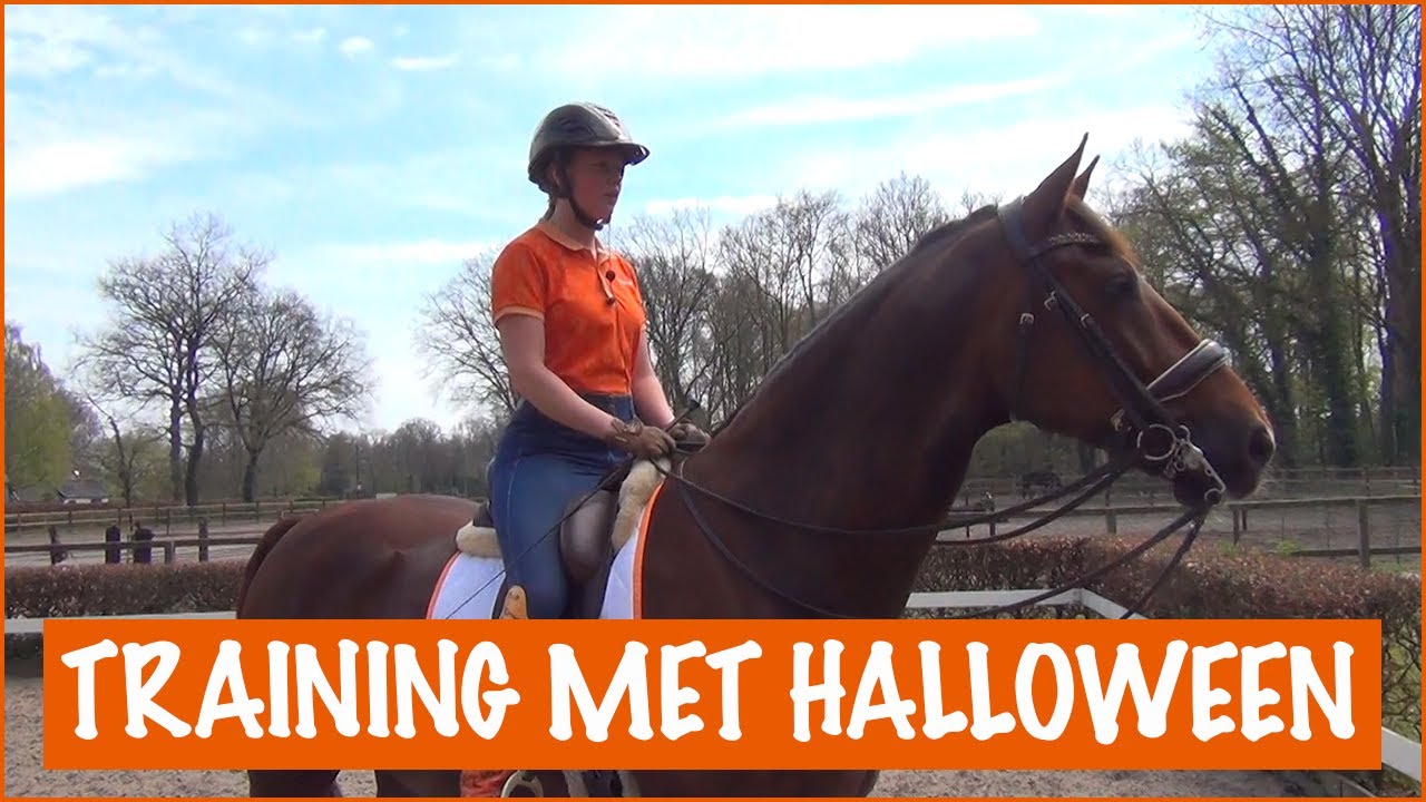 Training bij Rien van der Schaft | PaardenpraatTV