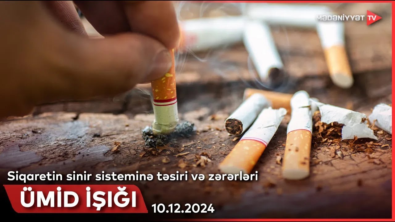 Ümid işığı - Siqaretin sinir sisteminə təsiri və zərərləri | 10.12.2024