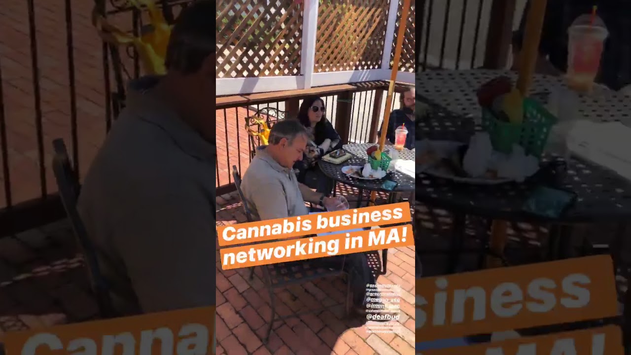 CANNABIZ NETWORKING: Cannabis Business Networking in Massachusetts
