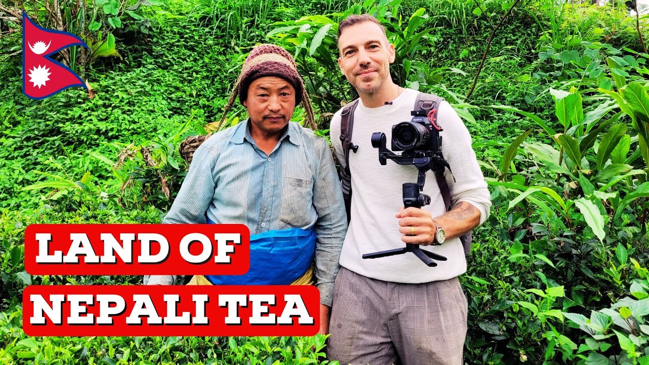 I discovered the LAND of NEPALI TEA 🇳🇵| EAST NEPAL (Shree Antu)