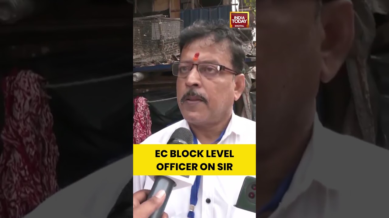 EC Block Level Officer On SIR | #shorts #sir #electioncommission #eci #secondphase #westbengalnews