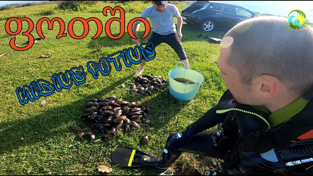 🌊 ფოთის ტბაზე ყვინთვა 🤿 მიდიებზე / WNG / Water and Nature of Georgia 🐙
