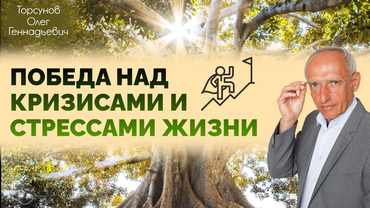 Победа над кризисами и стрессами жизни. Торсунов О. Г.