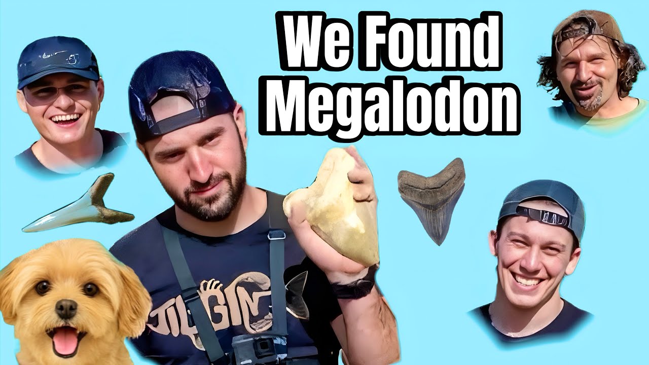 Palmetto Fossil Excursions Hunting Sharks Teeth!