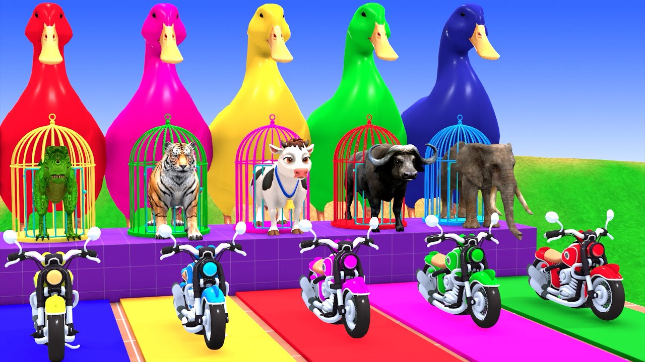 Long Slide Game With Cow Elephant Gorilla Hippopotamus Tiger - 3d Animal Game - Funny 3d Animals
