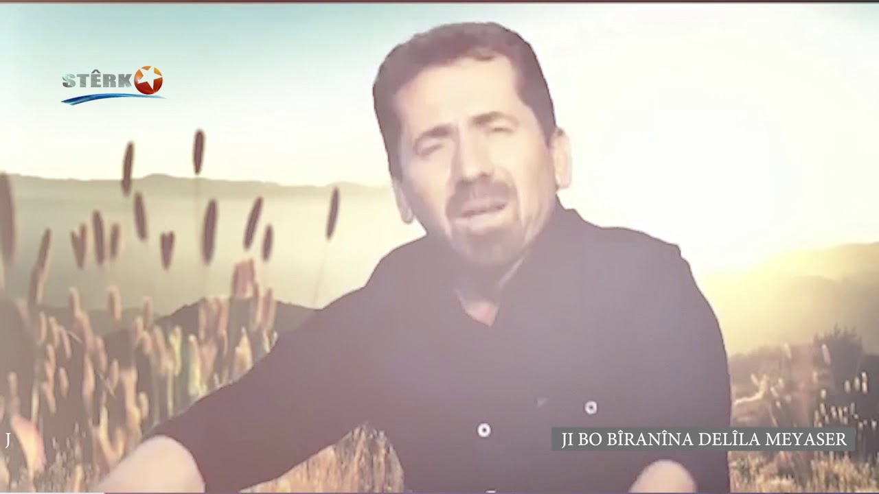 Ji  bo b&icirc;ran&icirc;na Del&icirc;la Meyaser