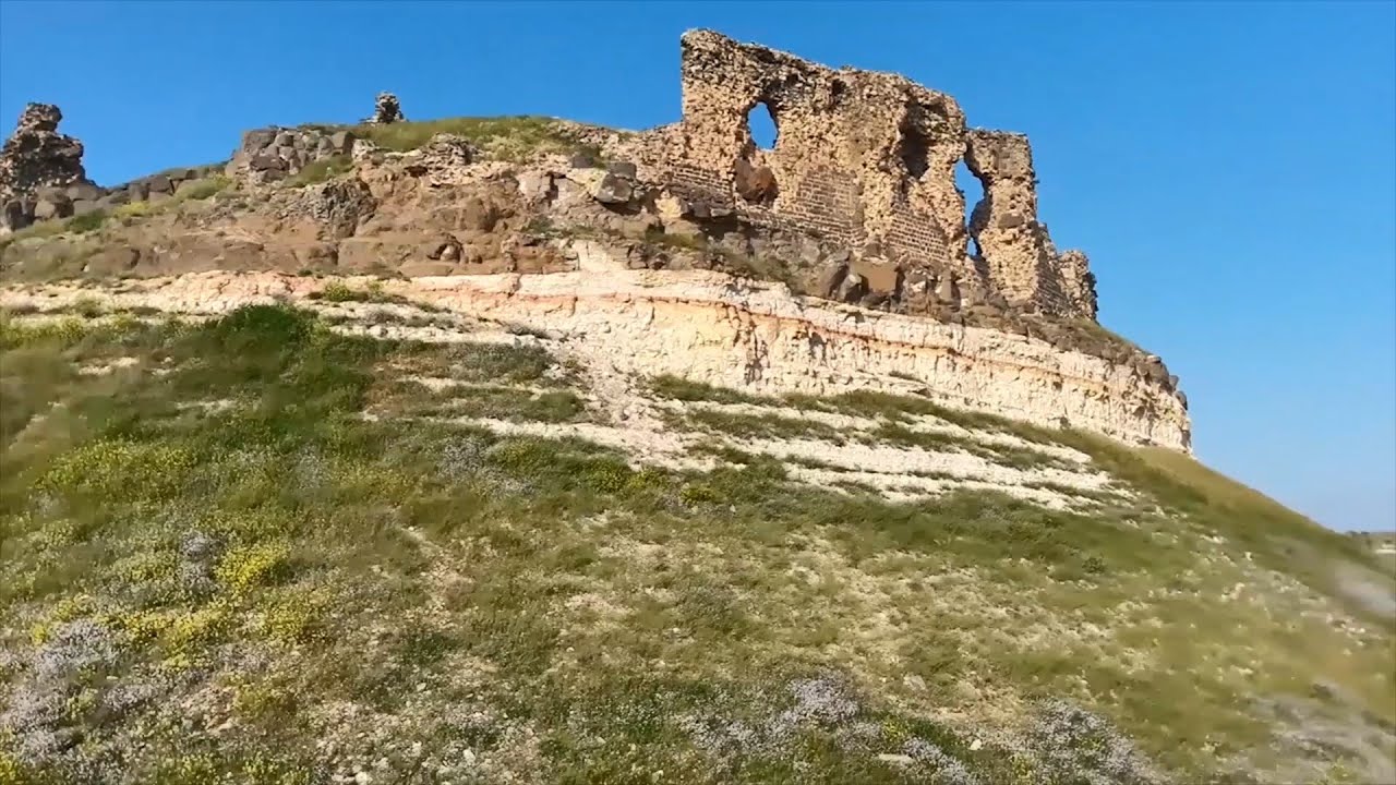 كيف نهب النظام وميليشياته آثار مدينة السلمية؟ | لم الشمل