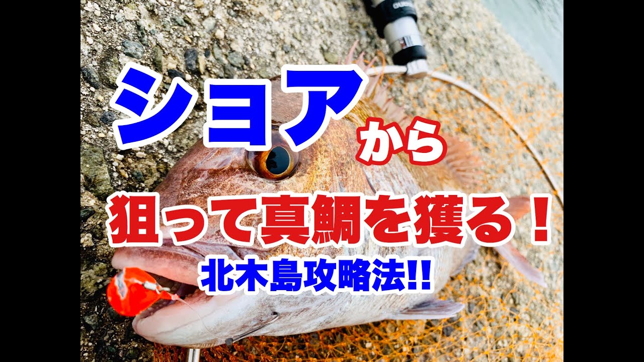 「笠岡スタイル」発祥の“北木島”攻略編！！【保存版】