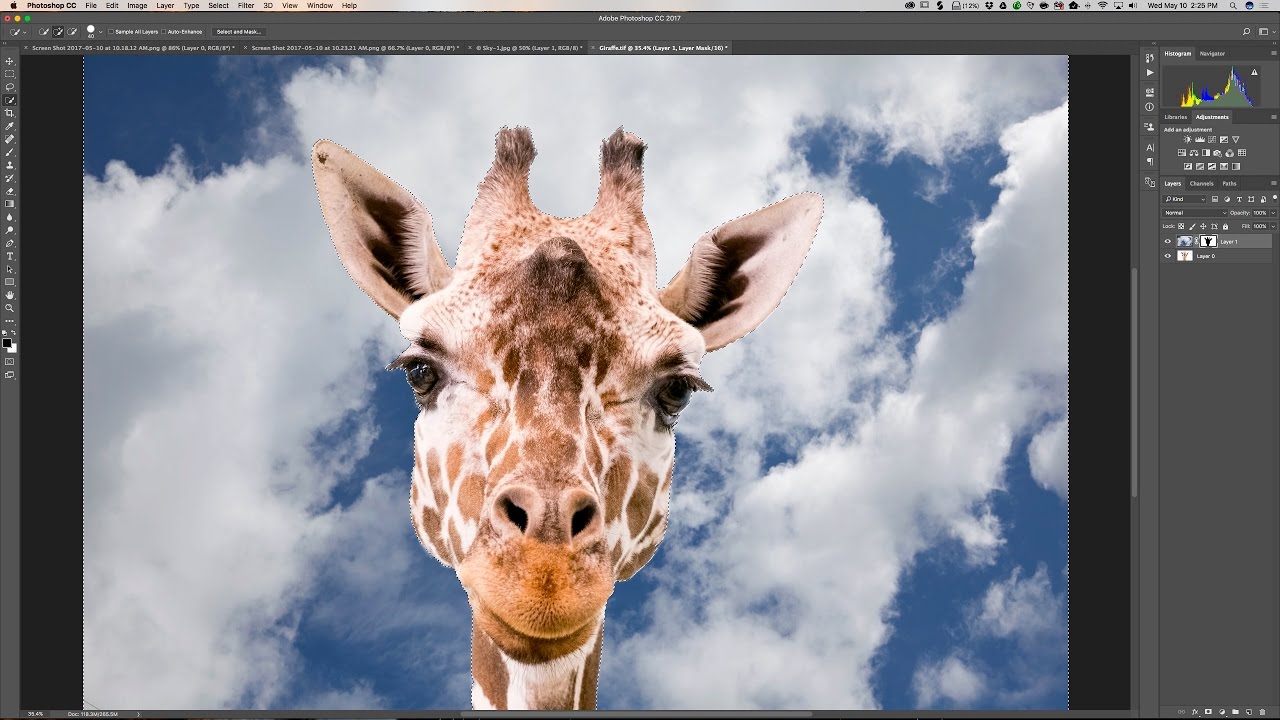 Getting Started in Photoshop - Episode 5: Selections