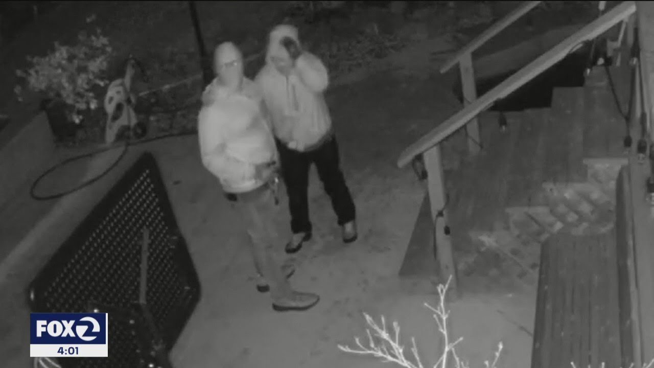 Thieves raid Danville home