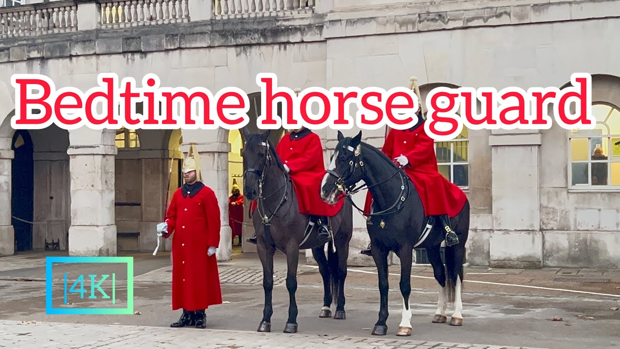Horse guard during sleep🛏️🛏️