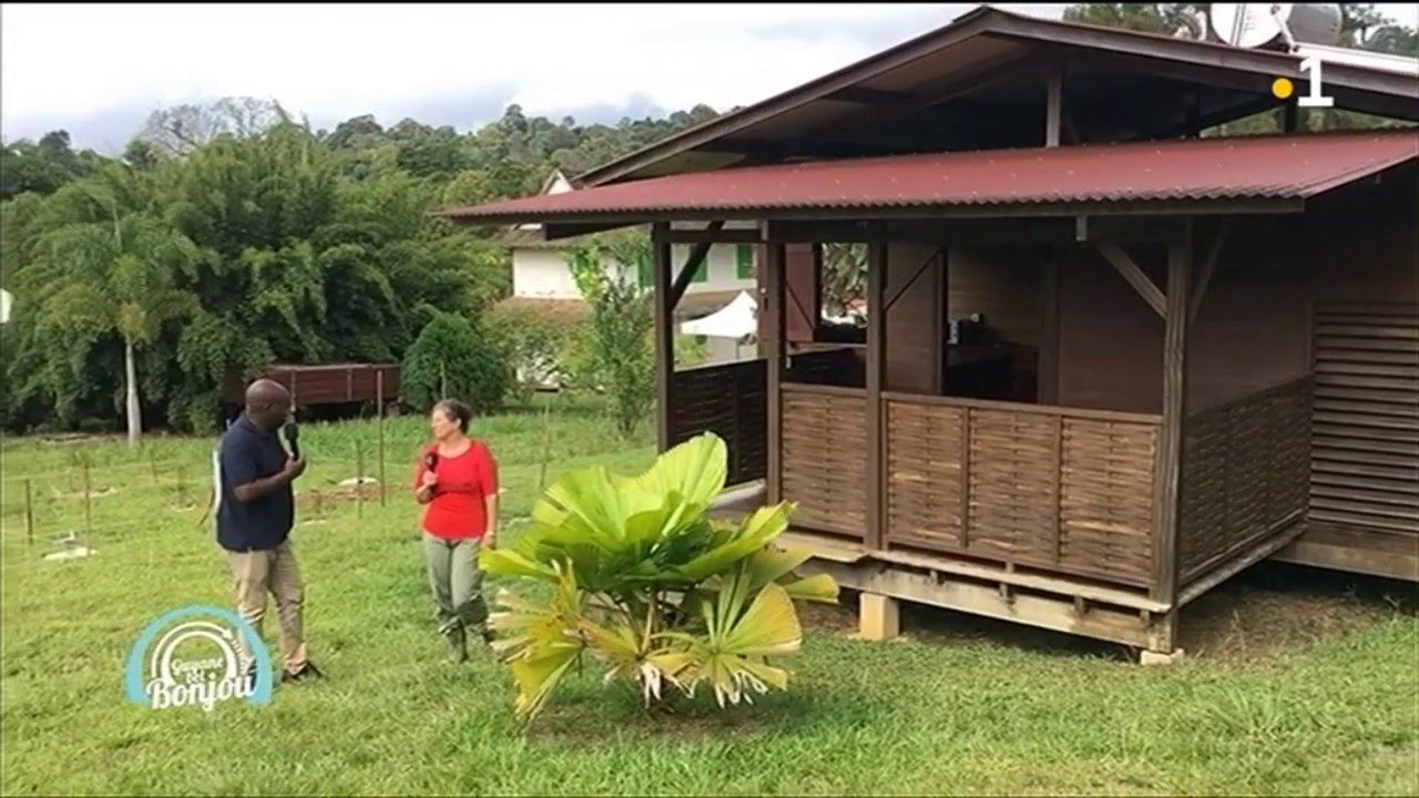 La Guyane bel Bonjou : Tano est sur la commune de Saül et rencontre Marie Claude
