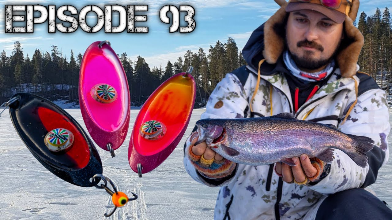 Kirjolohen pilkintää Hossan kansallispuistossa 2025 | 4K | Erämaiden Kulkijat