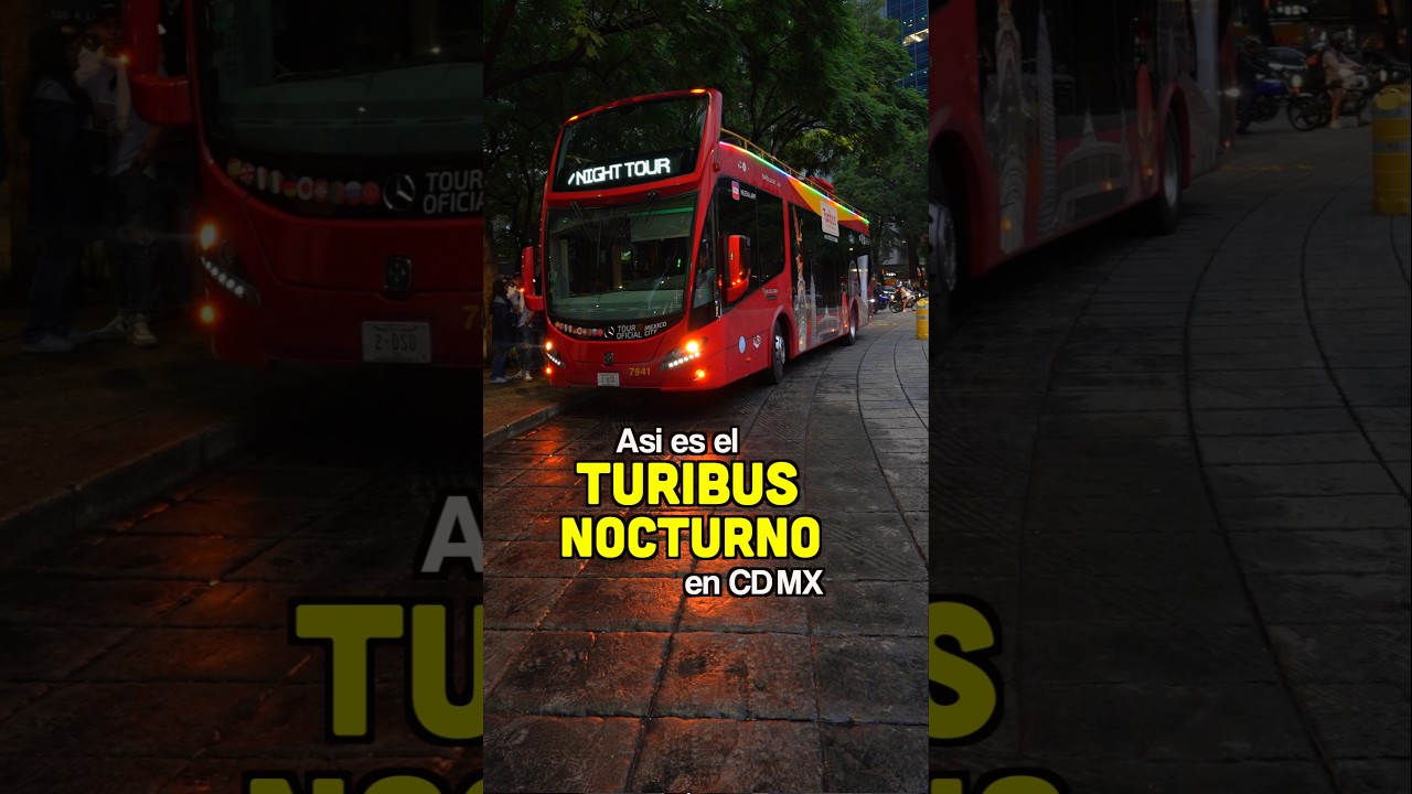 Asi es el  Turibus Nocturno ✨👌🏼 en CDMX #shorts #cdmx #turibus #paseonocturno #quehacer