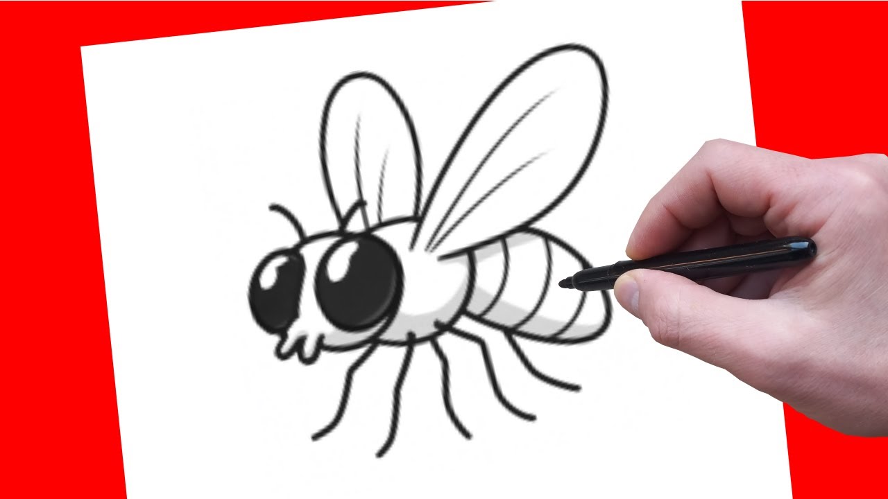 How to Draw a Fly | Easy Step-by-Step Drawing tutorial for beginners!