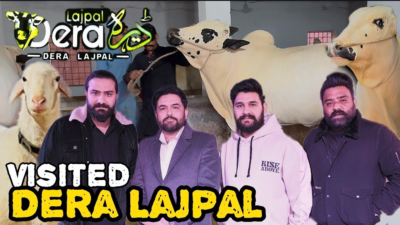 Dera Lajpal Shoaq 2026 😱 | Dangerous Fatehjangi Bulls | Qurbani 2026 | Abdullah Vlogs Official 