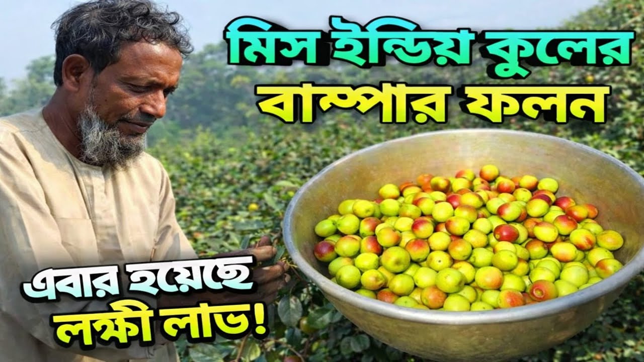 এই কুলেই বদলে গেল ভাগ্য! মিস ইন্ডিয়া কুলের বাম্পার ফলন