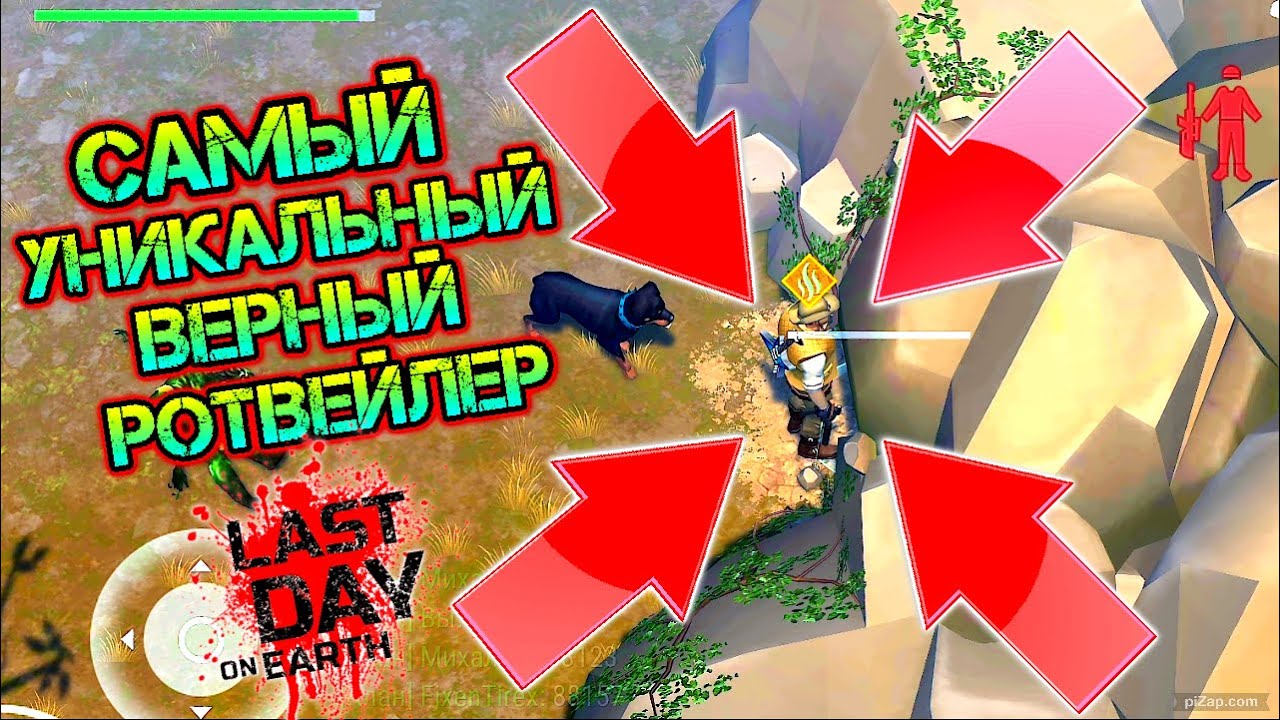Необычное событие - пищеры. Редкий верный друг - ротвейлер. Уникальный навык верного друга.
