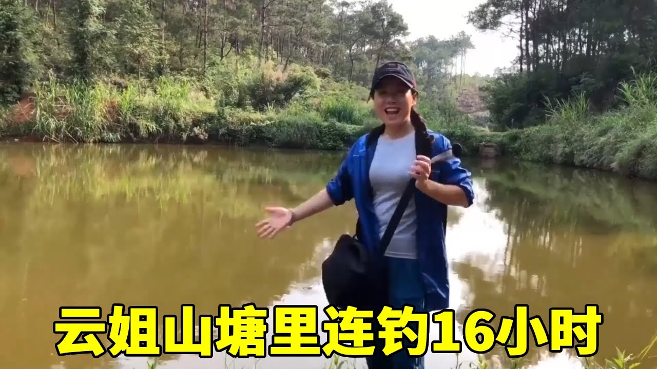 云姐山塘里连钓16小时，白天上草鱼【广西云姐 FuYun】