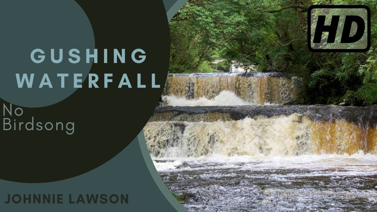 Forest Waterfall Nature Sounds - Gushing Waterfall - HD 1 Hour Version - Relaxing Series Ep.19