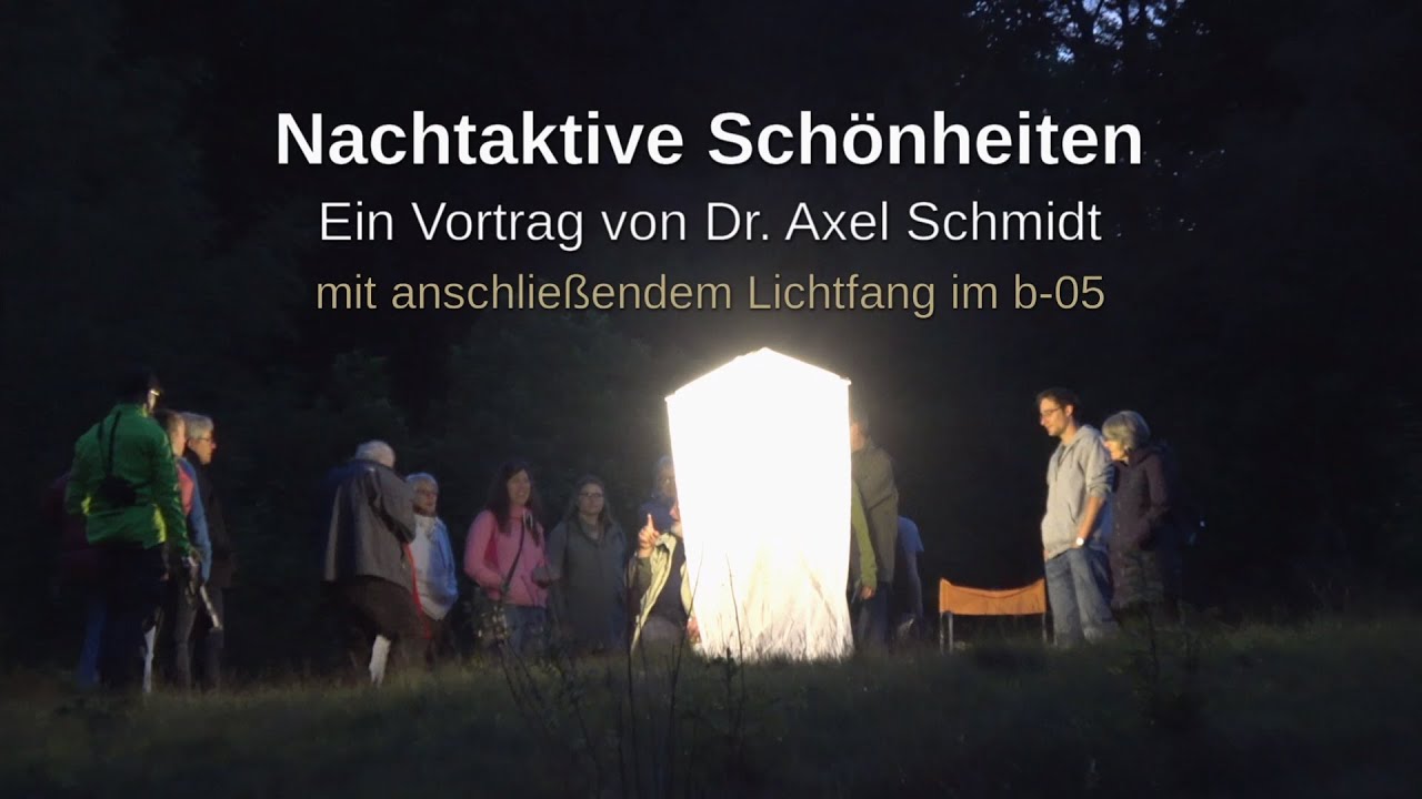 Dr. Axel Schmidt: Nachtfalter - Nachtaktive Schönheiten (inklusive Gliederung)
