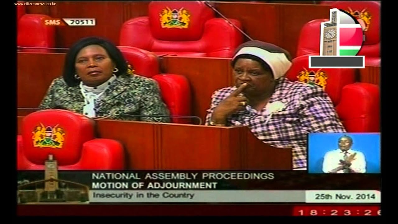 Parliament Discusses State Of Security